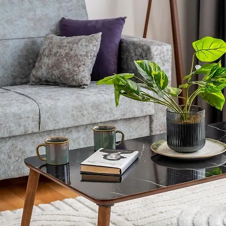 Large & Stylish Central 2br Flat In Beyoglu Apartamento