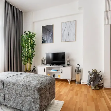 Apartment Large & Stylish Central 2br Flat In Beyoglu